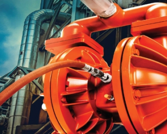 Wilden pumps